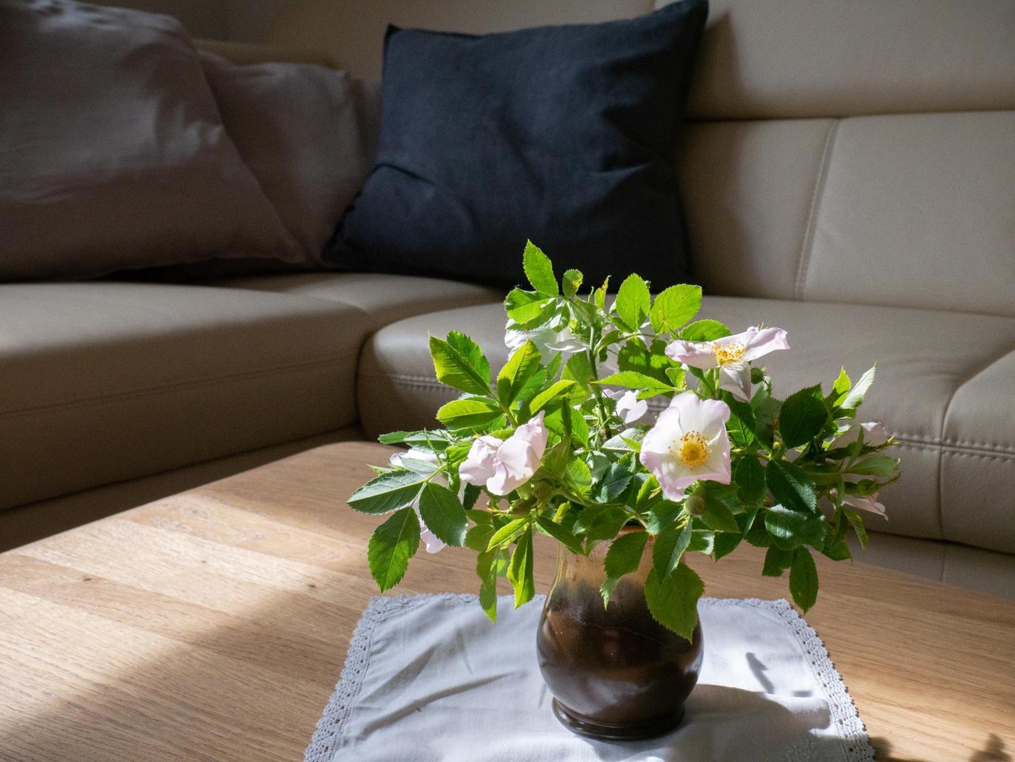 Stilvolle Nahe Leipzig Mit Wlan, Netflix, Garten Apartment